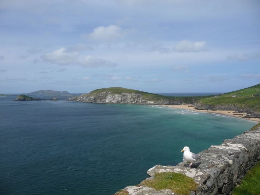 From Dublin: 5-Day Tour to the Southwest with Accommodation - Group size, luggage, and daily comfort