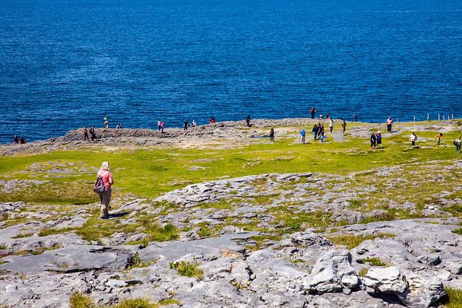 From Dublin: Cliffs of Moher, Bird of Prey & Aillwee Cave - Is the $126 price good value?