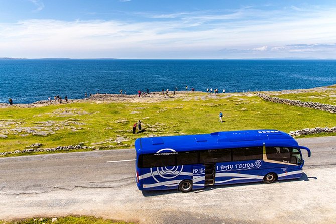 From Dublin: Cliffs of Moher, Bird of Prey & Aillwee Cave - Fanore lunch at O’Donohue’s Pub