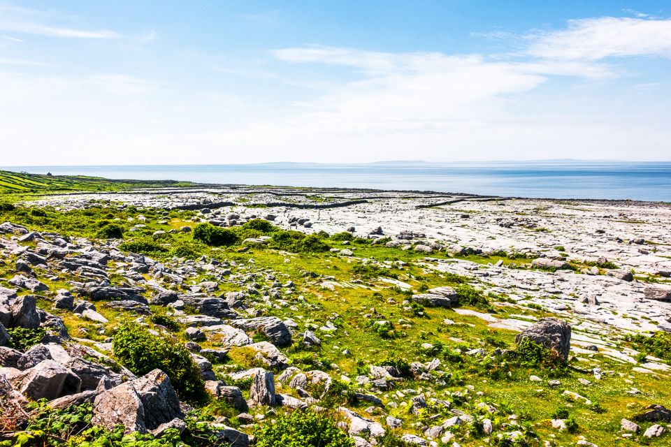 From Dublin: Cliffs of Moher, Burren & Galway City Day Tour - Food, clothing, and practical planning