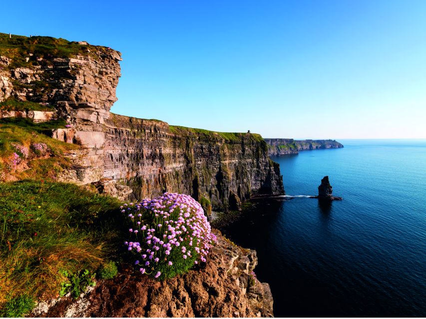 From Dublin: Cliffs of Moher Small Group Tour - Who should book this day trip?