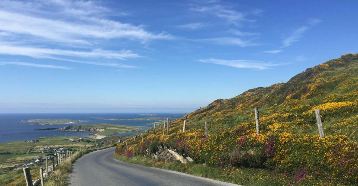From Dublin: Connemara and Galway Bay Day Tour - Key points to know before booking
