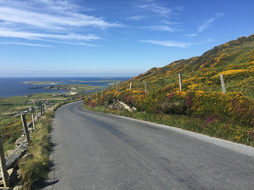 From Dublin: Connemara and Galway Bay Day Tour - Galway, the City of the Tribes
