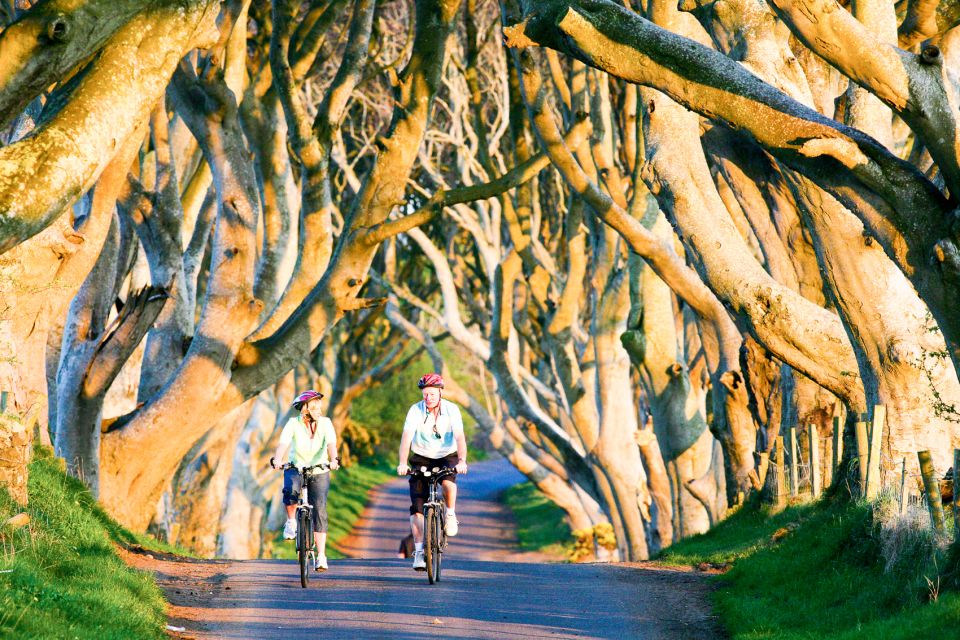 From Dublin: Giant's Causeway & Belfast Titanic with Ticket - Dark Hedges: atmospheric, brief, and easy to overrate