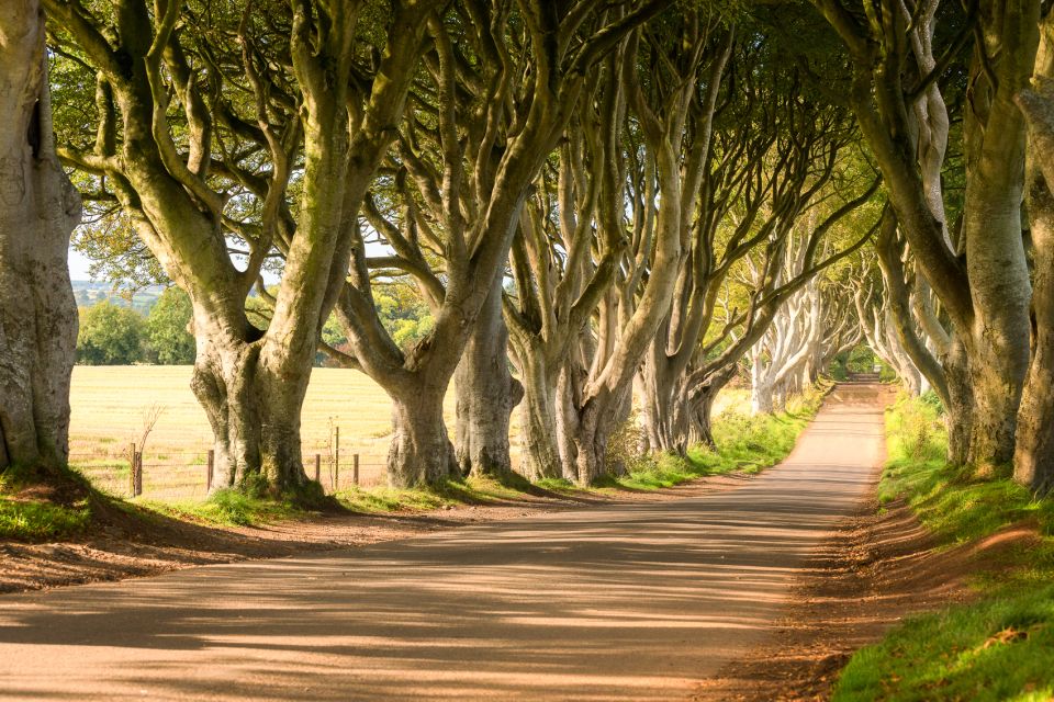 From Dublin: Giant's Causeway & Belfast Titanic with Ticket - What the $124 price includes
