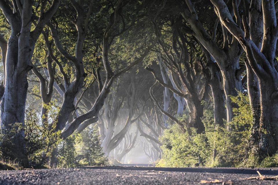 From Dublin: Giant's Causeway Tour and Whiskey Tasting - Should you book it?
