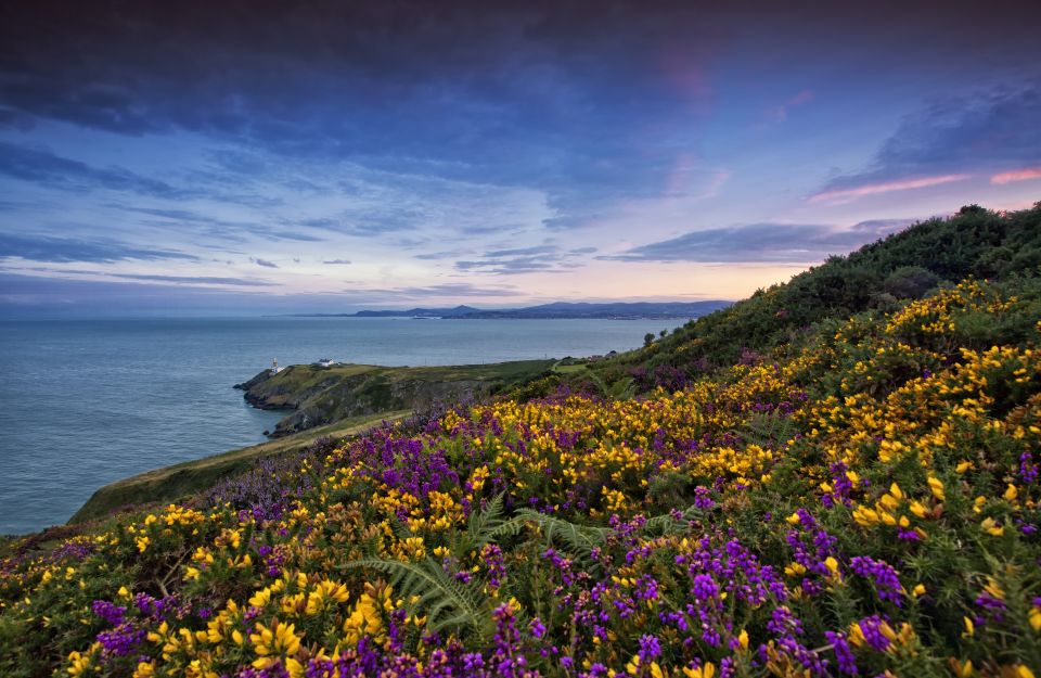 From Dublin: Half-Day Guided Coastal Tour to Howth Village - Why Howth makes a smart half-day from Dublin