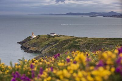 Half-Day Guided Coastal Tour to Howth Village
