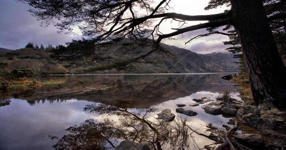 From Dublin: Wicklow Mountains, Glendalough & Kilkenny Tour - Key points to know before booking