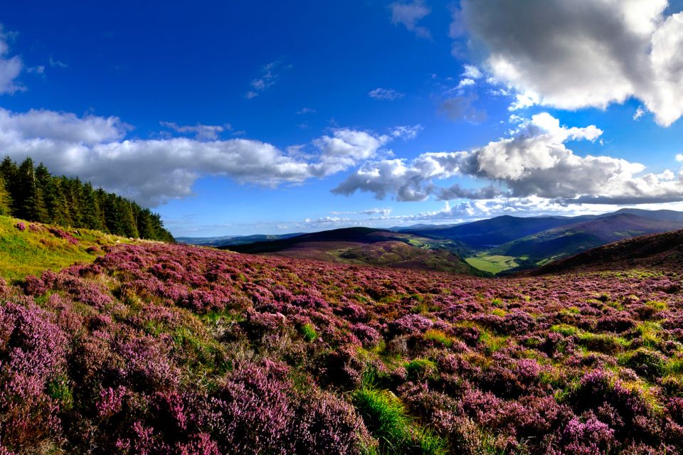 From Dublin: Wicklow Mountains, Glendalough & Kilkenny Tour - Glendalough: ruins, lakes, and a choice of walks