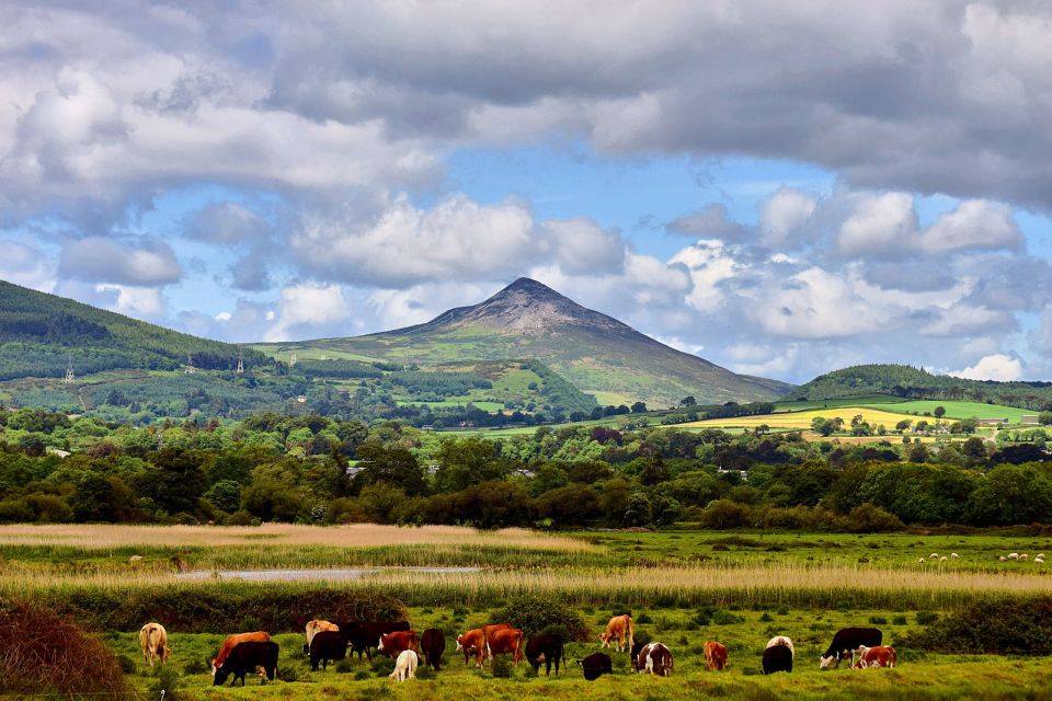 From Dublin: Wicklow Mountains, Glendalough & Kilkenny Tour - How the timing feels across nine hours