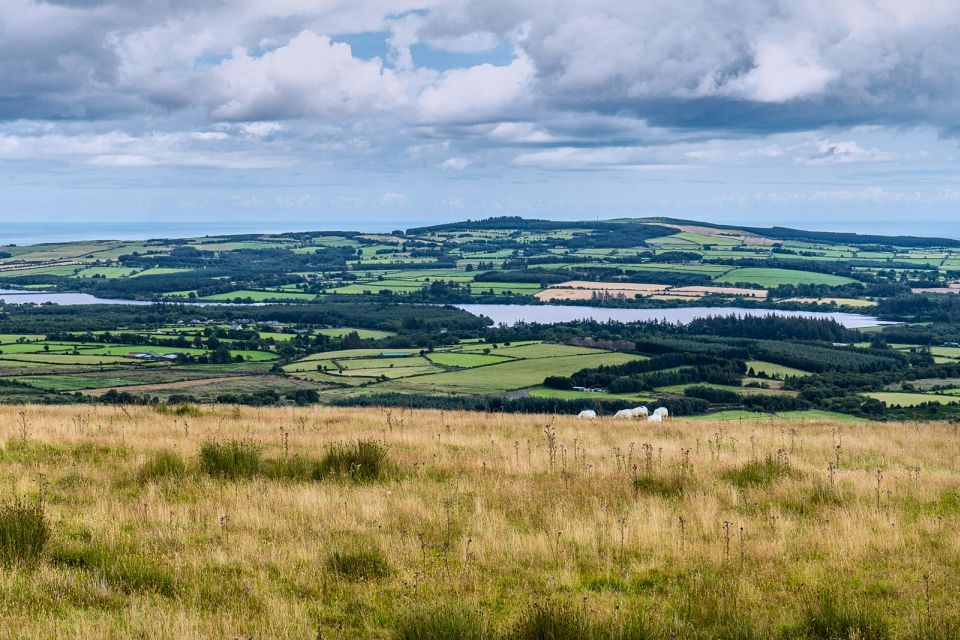 From Dublin: Wicklow Mountains, Glendalough & Kilkenny Tour - Price, comfort, and what you actually get