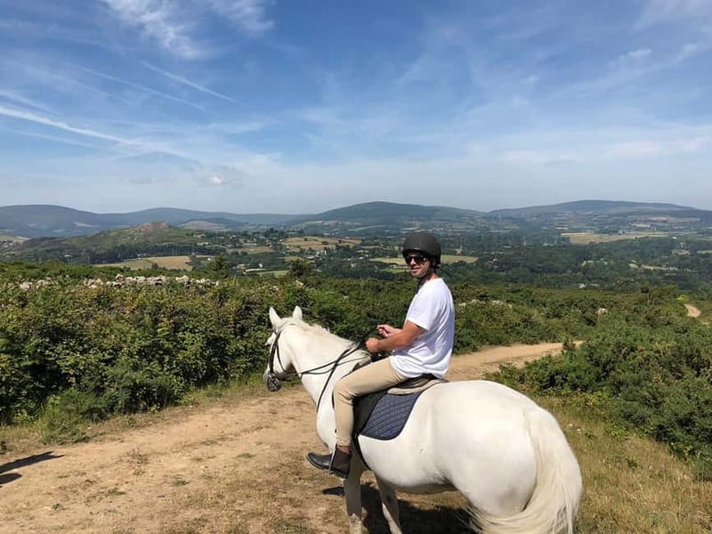 From Dublin: Wicklow, Powerscourt, and Glendalough Day Tour - What makes this Wicklow day trip worth your time