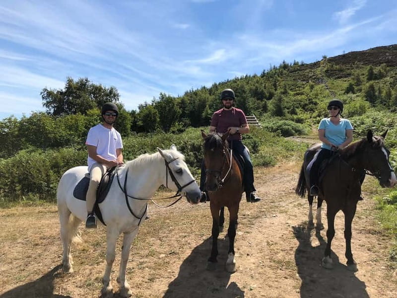 From Dublin: Wicklow, Powerscourt, and Glendalough Day Tour - Who should book this Wicklow tour?