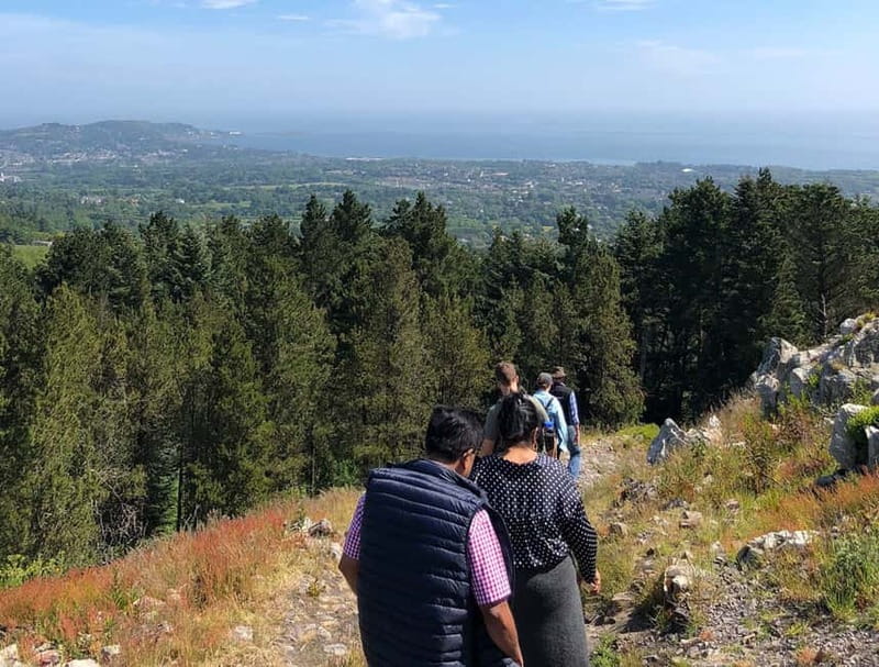 From Dublin: Wicklow, Powerscourt, and Glendalough Day Tour - Wicklow Mountains, Sally Gap, and the PS I Love You Bridge