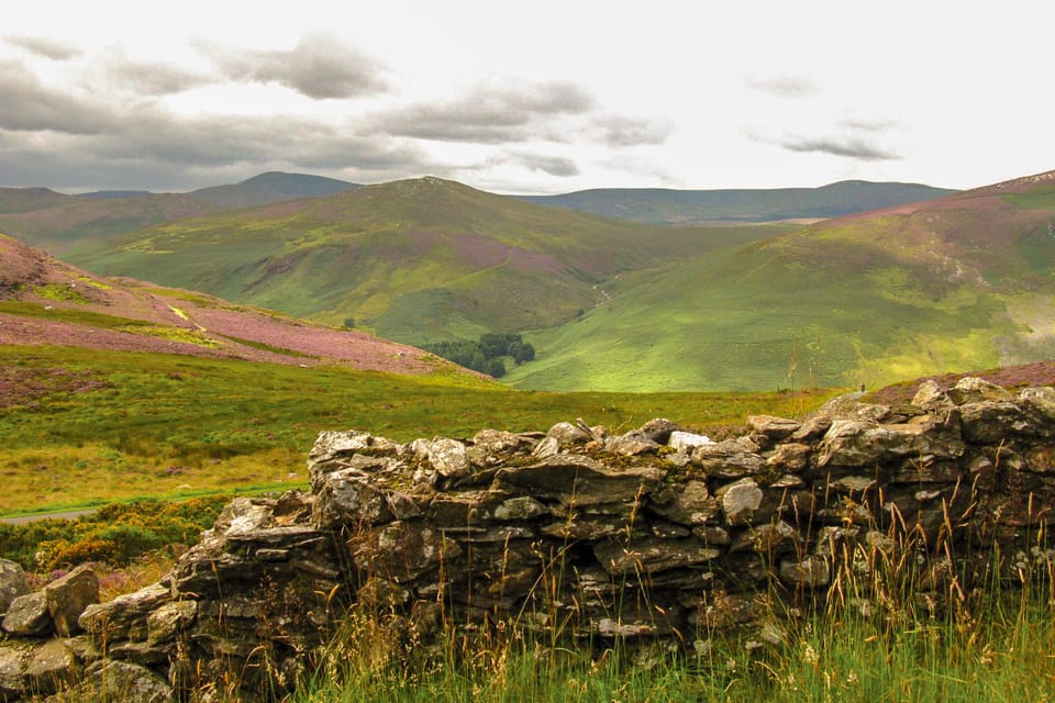 From Dublin: Wild Wicklow Mountains and Glendalough Tour - Sally Gap shows Wicklow at its wildest
