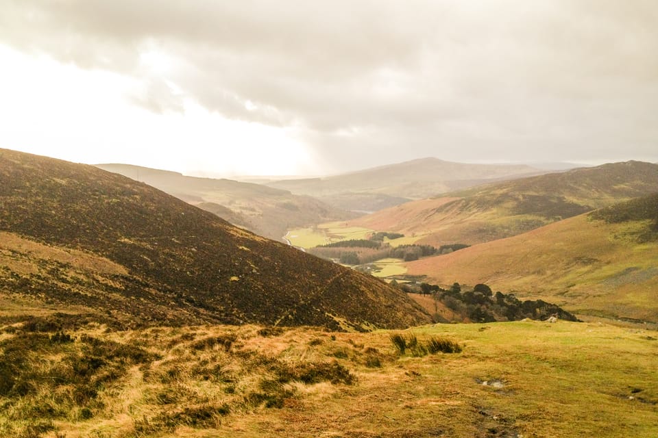 From Dublin: Wild Wicklow Mountains and Glendalough Tour - Lunch at Lynhams of Laragh