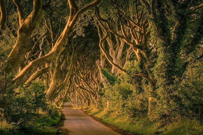 Giant Causeway, Dark Hedges & Whiskey Distillery tour from Dublin - Why the Giant’s Causeway makes the long day worthwhile