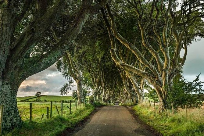 Giant's Causeway Day Tour from Dublin - Antrims Glens and the road to the coast