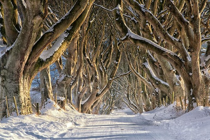 Giant's Causeway with the Titanic Exhibition and the best of Northern Ireland - Why this day trip works from Dublin