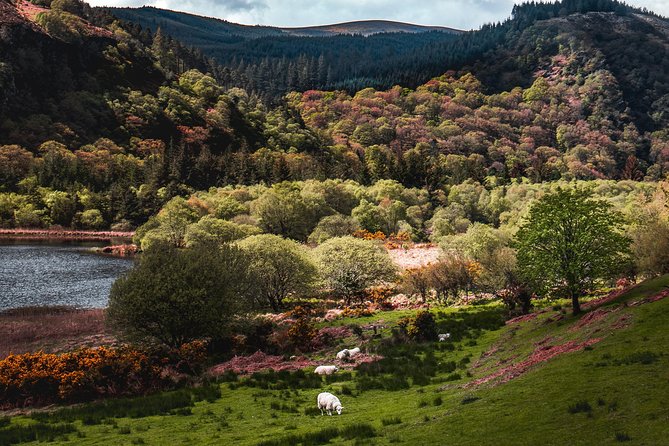 Glendalough Day Tour from Dublin: Including Kilkenny City - What the coach is like for a long day
