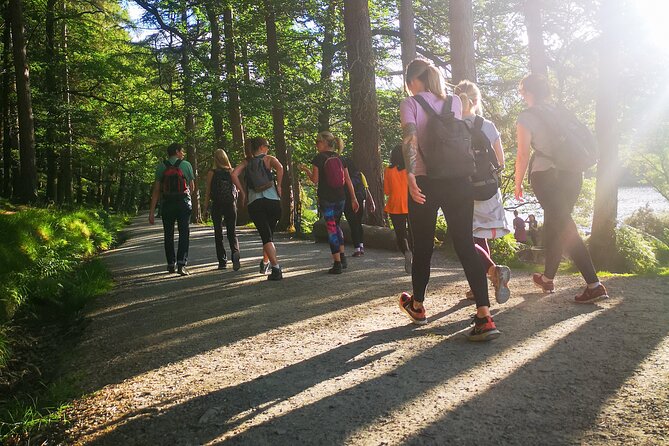 Glendalough Night Hike and History Tour - Stargazing in County Wicklow