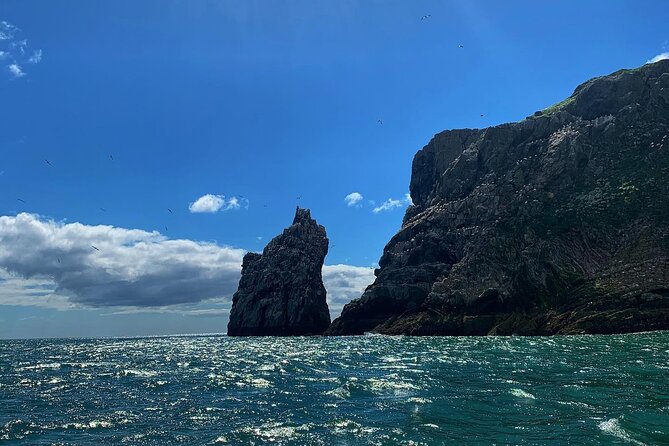 Howth Cliffs and Ireland's Eye Ferry Boat Tour - How the $24.20 price holds up