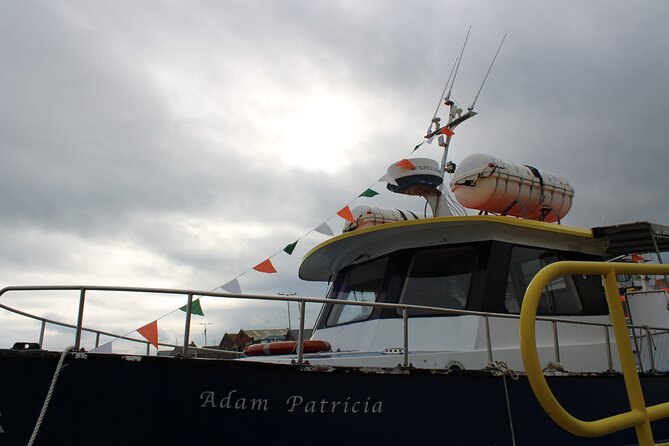 Howth Cliffs and Ireland's Eye Ferry Boat Tour - Timing, weather, and a few practical tips