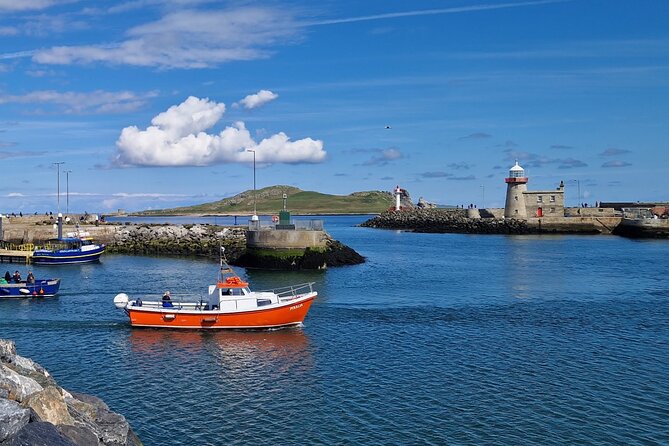 Howth Coastal Boat Tour (Ireland's Eye Ferries 50 mins trip) - Ireland’s Eye and its seasonal birdlife