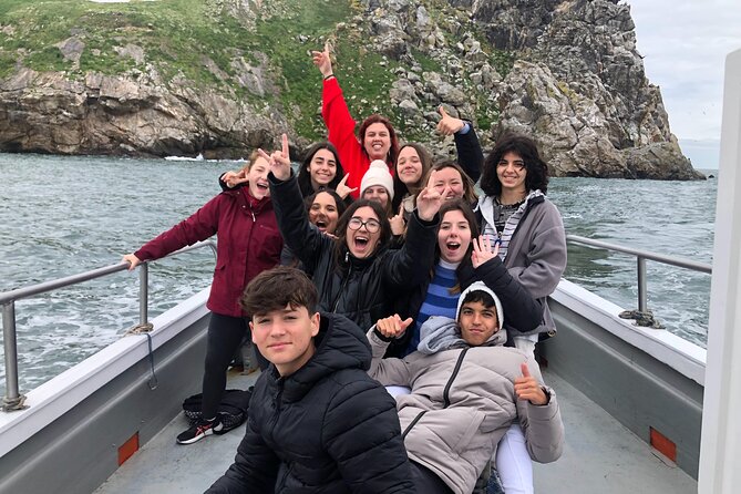 Howth Coastal Boat Tour (Ireland's Eye Ferries 50 mins trip) - The views from beneath Howth’s cliffs