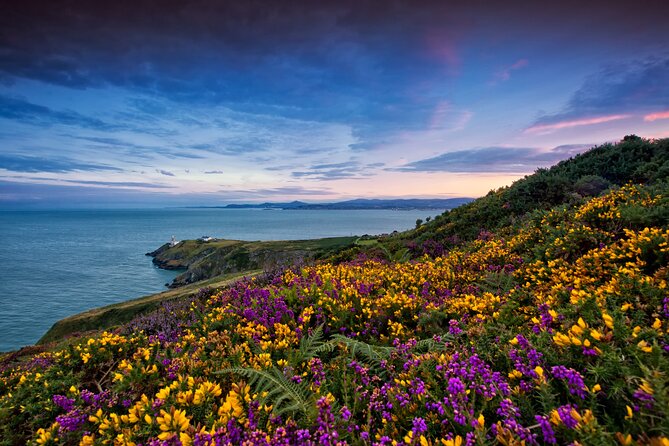 Howth Coastal Half-Day Bus Tour from Dublin with Live Guide - Why Howth makes a smart half-day escape