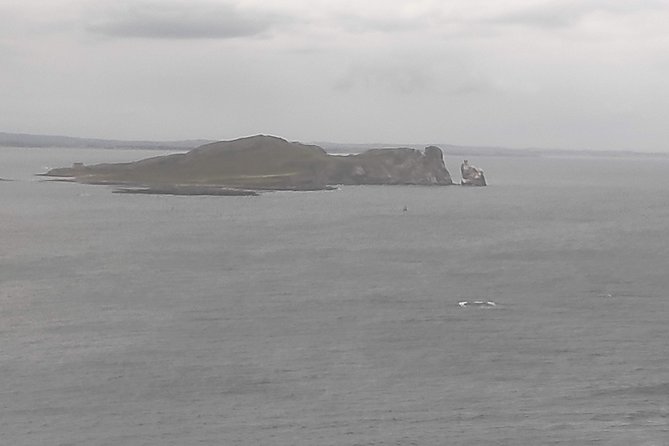 Howth Hiking Trail from Dublin: Mythology and Legend - The forest climb to Muck Rock
