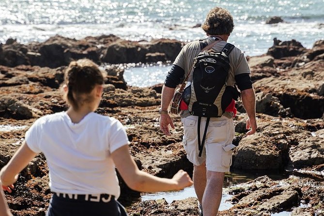 Howth Safari Hiking Tour - What the hike feels like in practice