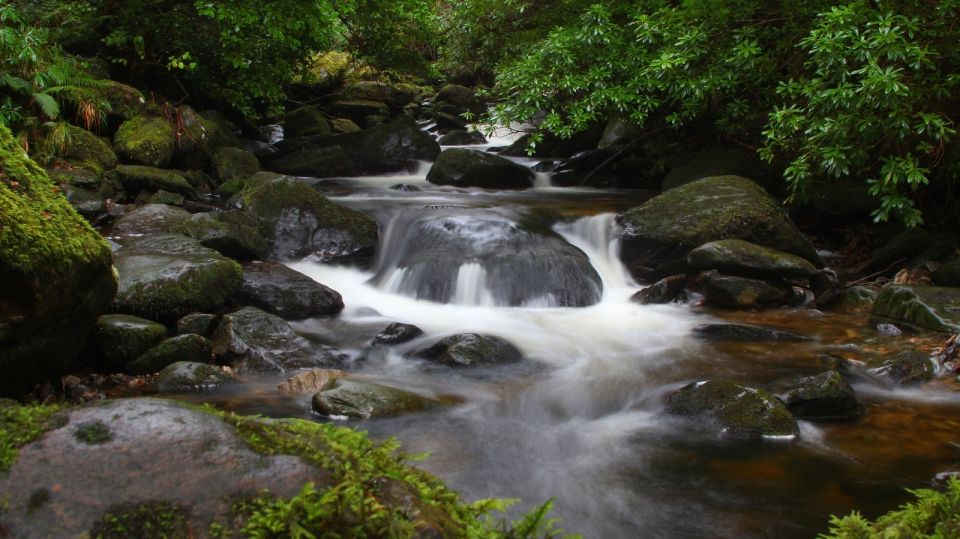 Ireland: 2 Day Wild Atlantic Way Tour - Day two brings Torc Waterfall and Killarney National Park