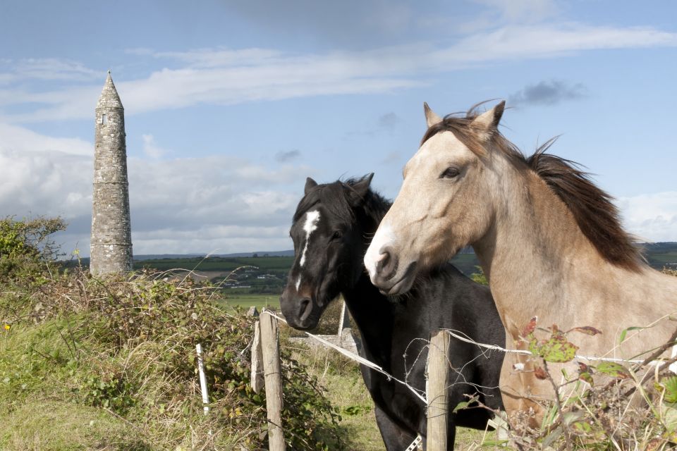 Ireland: Blarney Castle, Kilkenny & Irish Whiskey 3-Day Tour - Practical advice before you go