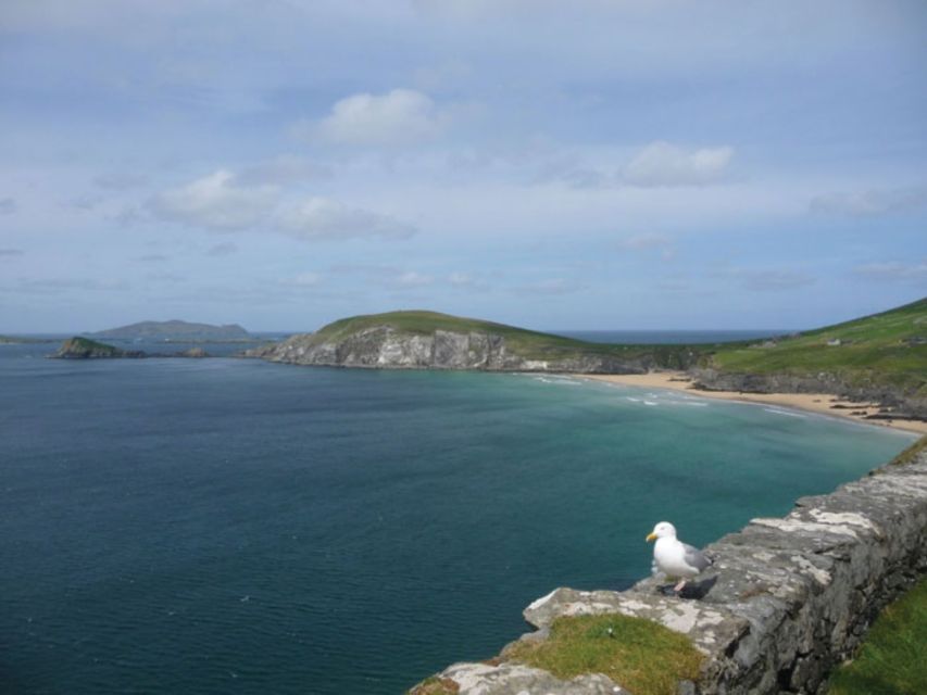 Ireland's North Atlantic Coast 5-Day Tour from Dublin - What the guide adds to the experience