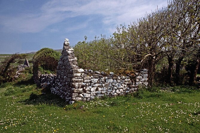 Irish Famine Museum / Exhibition Dublin - Who will get the most from this Dublin stop