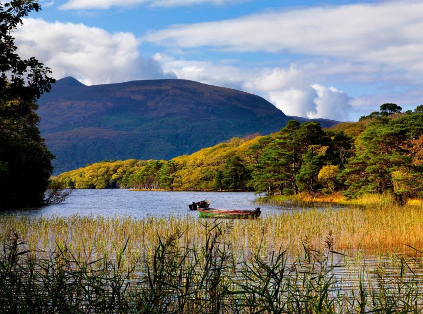 Kerry: Full-Day Tour from Dublin - Killarney town adds food and breathing room