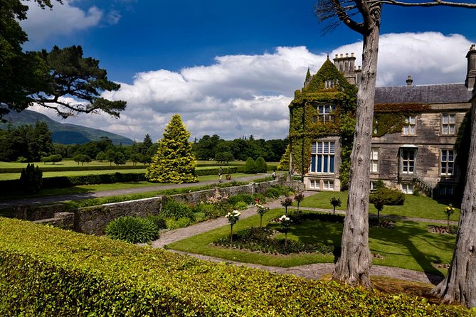 Kerry Highlights Day Tour from Dublin - Killarney town and the lunch break