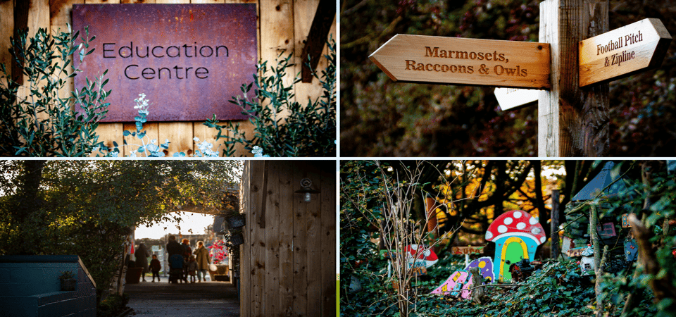 Kildare: Clonfert Farm General Admission Ticket - Why Clonfert Farm works for a family day out