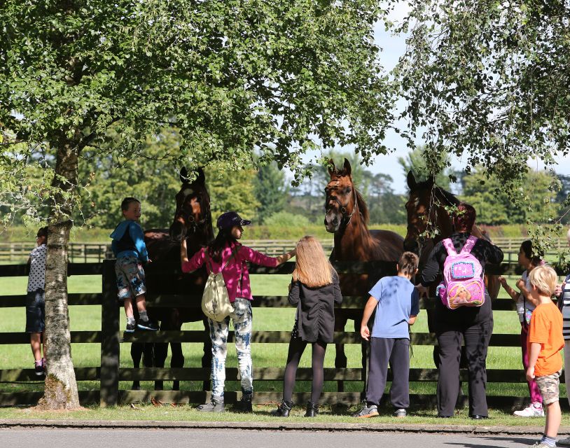 Kildare: Irish National Stud & Gardens - Walk the Japanese Gardens and the Life of Man