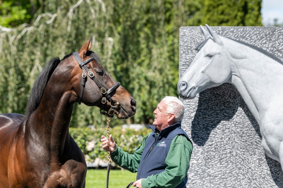 Kildare: Irish National Stud & Gardens - Start with the Irish Racehorse Experience