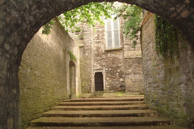 Medieval Dublin Walking Private Guided Tour - Starting at Dublin City Council and the Viking past