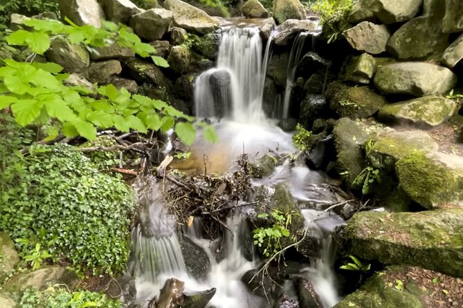 Private Garden of Ireland Wicklow Tour from Dublin - Key points at a glance