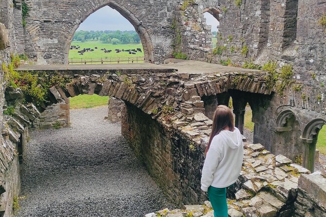Private Tour from Dublin: Hill of Tara Trim Castle, Celtic sites - Why this makes a strong day trip from Dublin