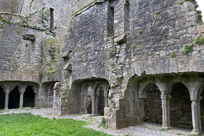 Private Tour from Dublin: Hill of Tara Trim Castle, Celtic sites - Who will enjoy this tour most