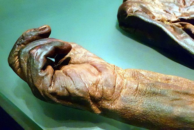 Private Tour of Dublin Museums (Walking Tour) - Bog bodies and ancient treasures at the Archaeology Museum