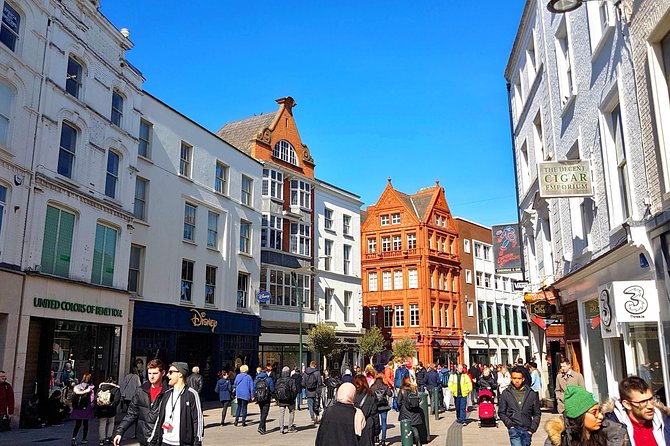 Private Ultimate Day in Dublin (Walking Tour) - Christ Church Cathedral and medieval Dublin