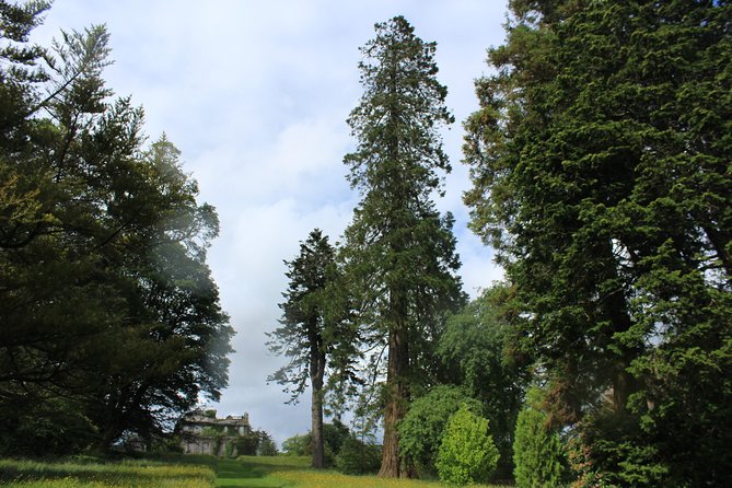 Private Wicklow Mountains Day Tour - What the private format is really worth