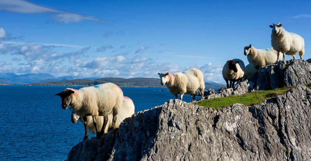 Private Wild Atlantic Day Tour from Cork - A private day for choosing the coast